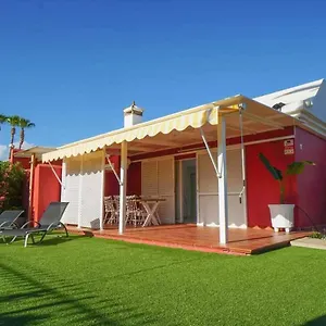 https://los-albaricoques-maspalomas-gran-canaria.in-canary-islands.com